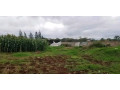 farm-land-for-sale-in-shimabala-small-1