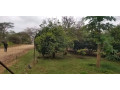 farm-land-for-sale-in-shimabala-small-4