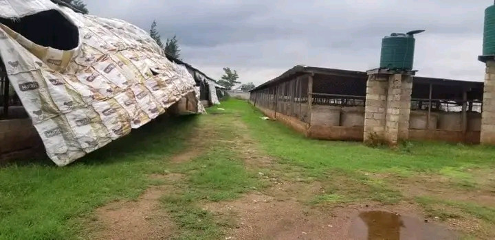 farm-land-for-sale-in-shimabala-big-9