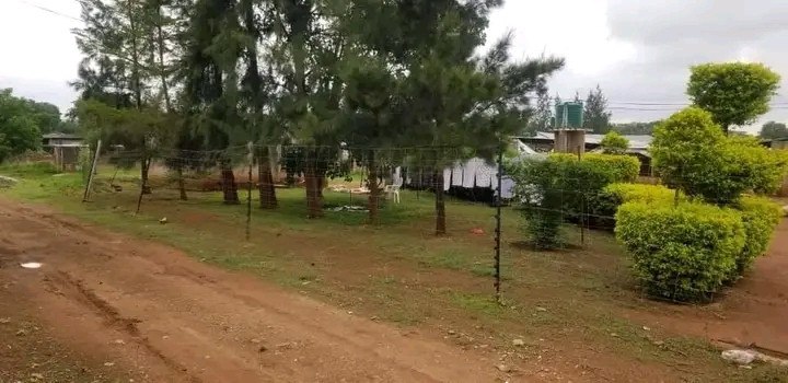 farm-land-for-sale-in-shimabala-big-7