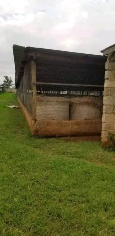 farm-land-for-sale-in-shimabala-big-6