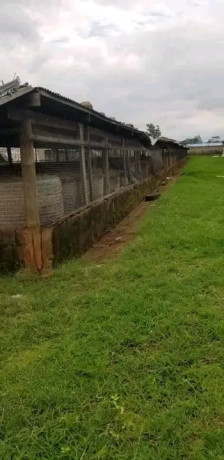 farm-land-for-sale-in-shimabala-big-5