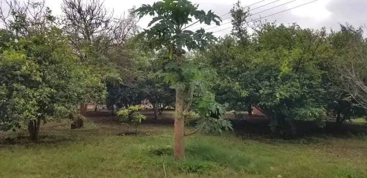 farm-land-for-sale-in-shimabala-big-3