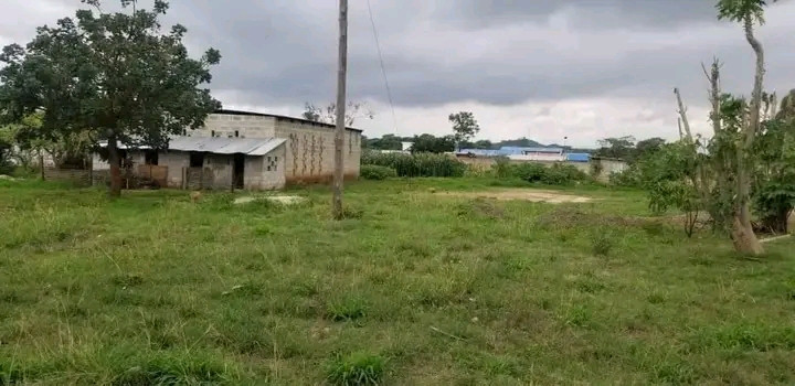 farm-land-for-sale-in-shimabala-big-8