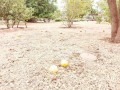 plots-for-sale-in-chalala-small-7