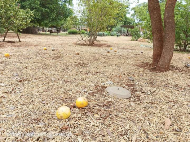 plots-for-sale-in-chalala-big-5