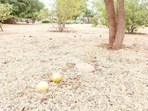 plots-for-sale-in-chalala-big-3