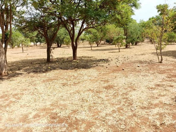 plots-for-sale-in-chalala-big-1