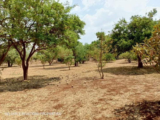 plots-for-sale-in-chalala-big-0