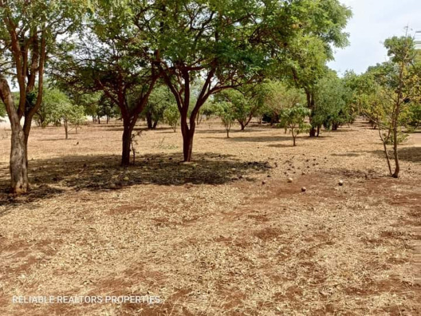 plots-for-sale-in-chalala-big-6