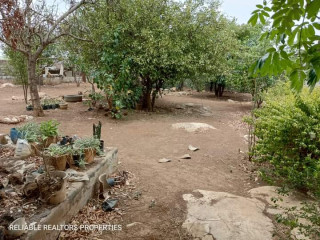 residential-plot-for-sale-in-chalala