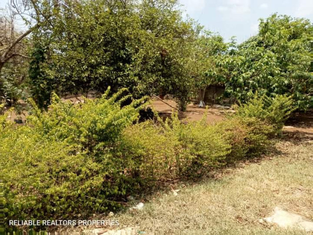 residential-plot-for-sale-in-chalala-big-7
