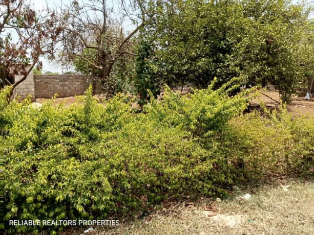 residential-plot-for-sale-in-chalala-big-6