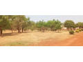 plots-for-sale-in-chalala-small-1