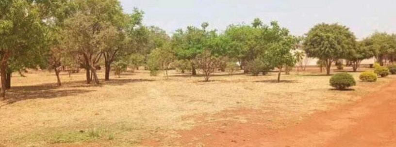 plots-for-sale-in-chalala-big-1