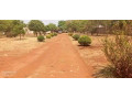plots-for-sale-in-chalala-small-0