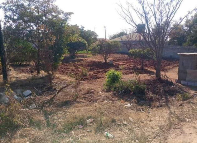 plots-for-sale-in-chalala-big-2