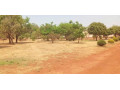 plot-for-sale-in-chalala-small-1