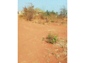 residential-plot-for-sale-in-chalala-small-5