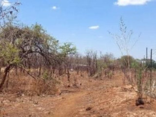 20-hectare-land-for-sale-in-makeni