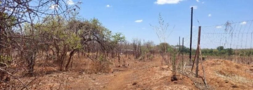 20-hectare-land-for-sale-in-makeni-big-0