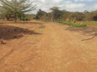 10-acre-land-for-sale-in-makeni