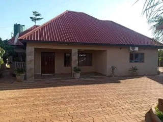 23-bedroom-houses-for-sale-in-new-kasama