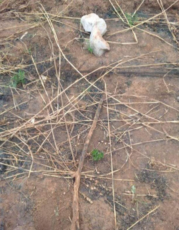 43m-x-87m-plot-for-sale-in-makeni-majoru-big-8