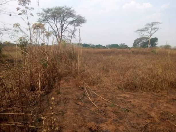 43m-x-87m-plot-for-sale-in-makeni-majoru-big-6