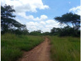 land-for-sale-in-new-kasama-small-2