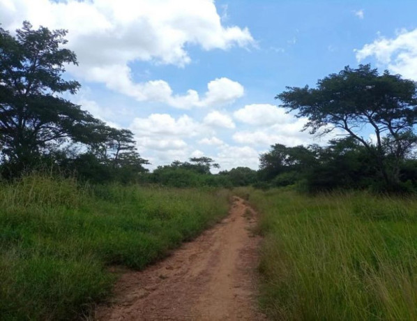 land-for-sale-in-new-kasama-big-2