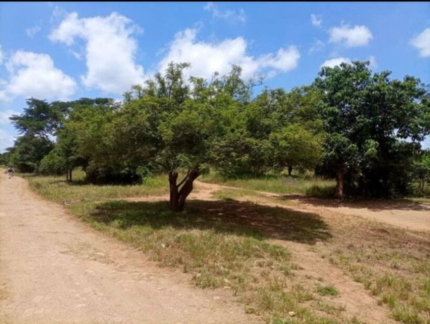 land-for-sale-in-new-kasama-big-1