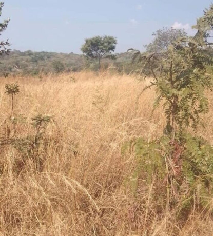 98-acre-land-for-sale-in-mikango-barracks-big-0