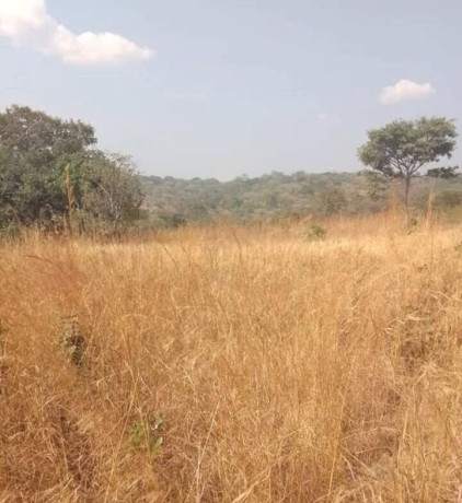 98-acre-land-for-sale-in-mikango-barracks-big-1