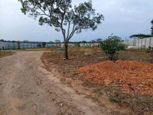 plot-for-sale-in-state-lodge-big-1