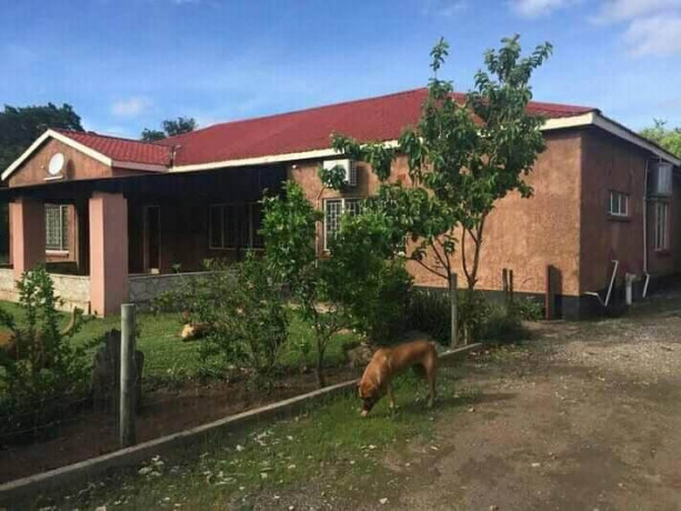 4-bedroom-standalone-house-for-rent-in-makeni-big-0