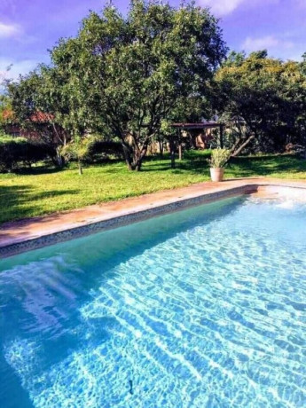 4-bedroom-standalone-house-for-rent-in-makeni-big-2