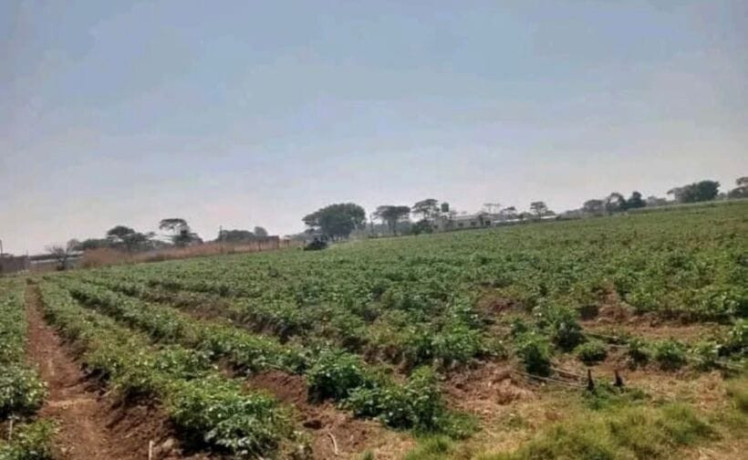 30-acre-land-for-sale-in-makeni-big-2