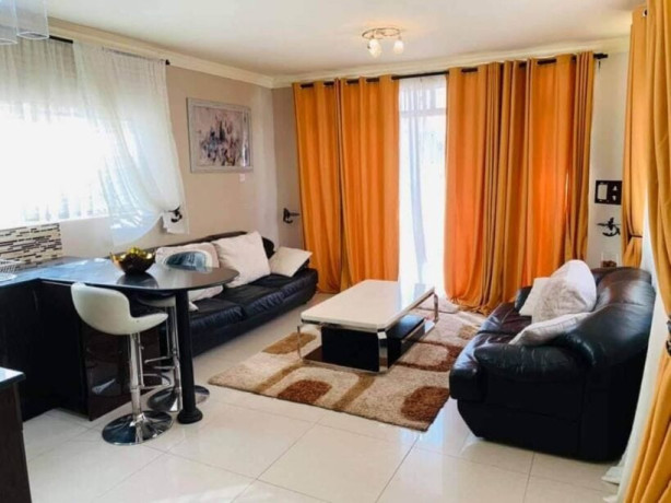 2-bedroom-furnished-apartment-for-rent-in-olympia-big-2
