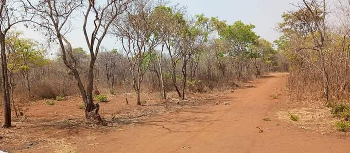 land-for-sale-in-new-kasama-big-2