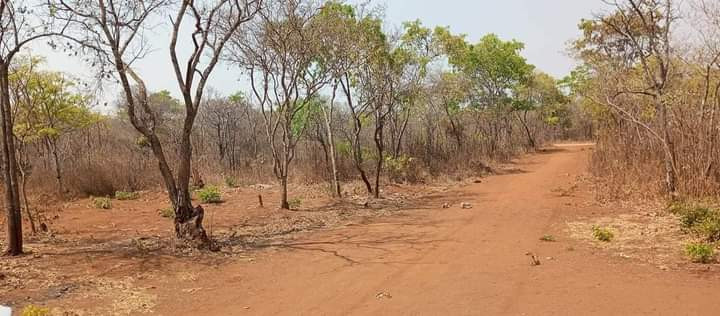 land-for-sale-in-new-kasama-big-3