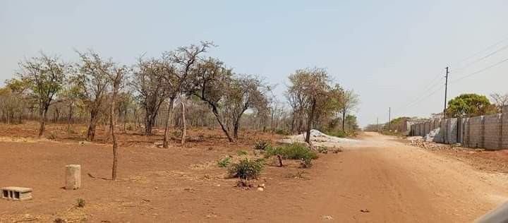 land-for-sale-in-new-kasama-big-5