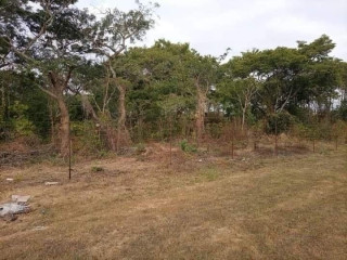 2-acre-land-for-sale-in-new-kasama
