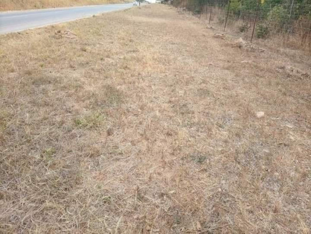 2-acre-land-for-sale-in-new-kasama-big-2