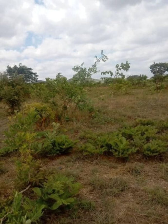 plot-for-sale-in-kasenki-big-1