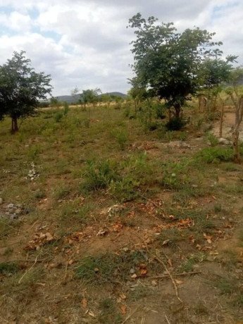 plot-for-sale-in-kasenki-big-0
