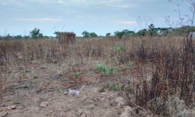 plot-for-sale-in-mikango-barracks-big-2