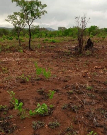 plot-for-sale-in-mikango-barracks-big-3