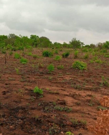 plot-for-sale-in-mikango-barracks-big-0