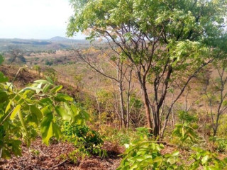 4-hectares-for-sale-in-mikango-barracks